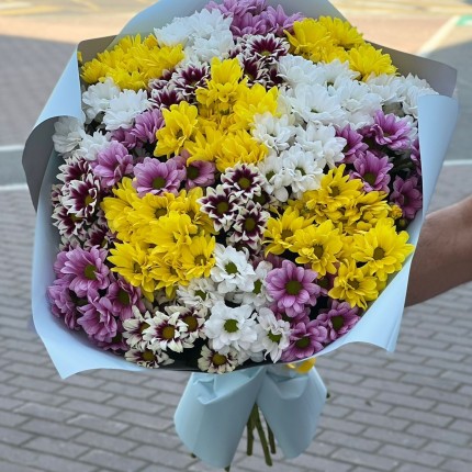 Букет из разноцветных хризантем - купить с доставкой в по Николиной Горе